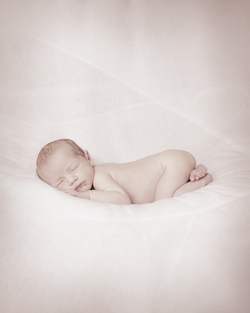 pettiforpictures vidar#2